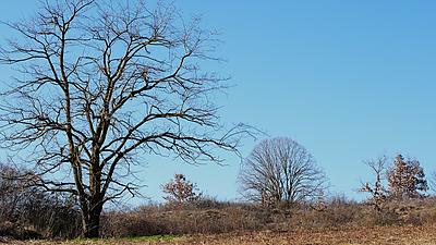 Uber Exif Photo
